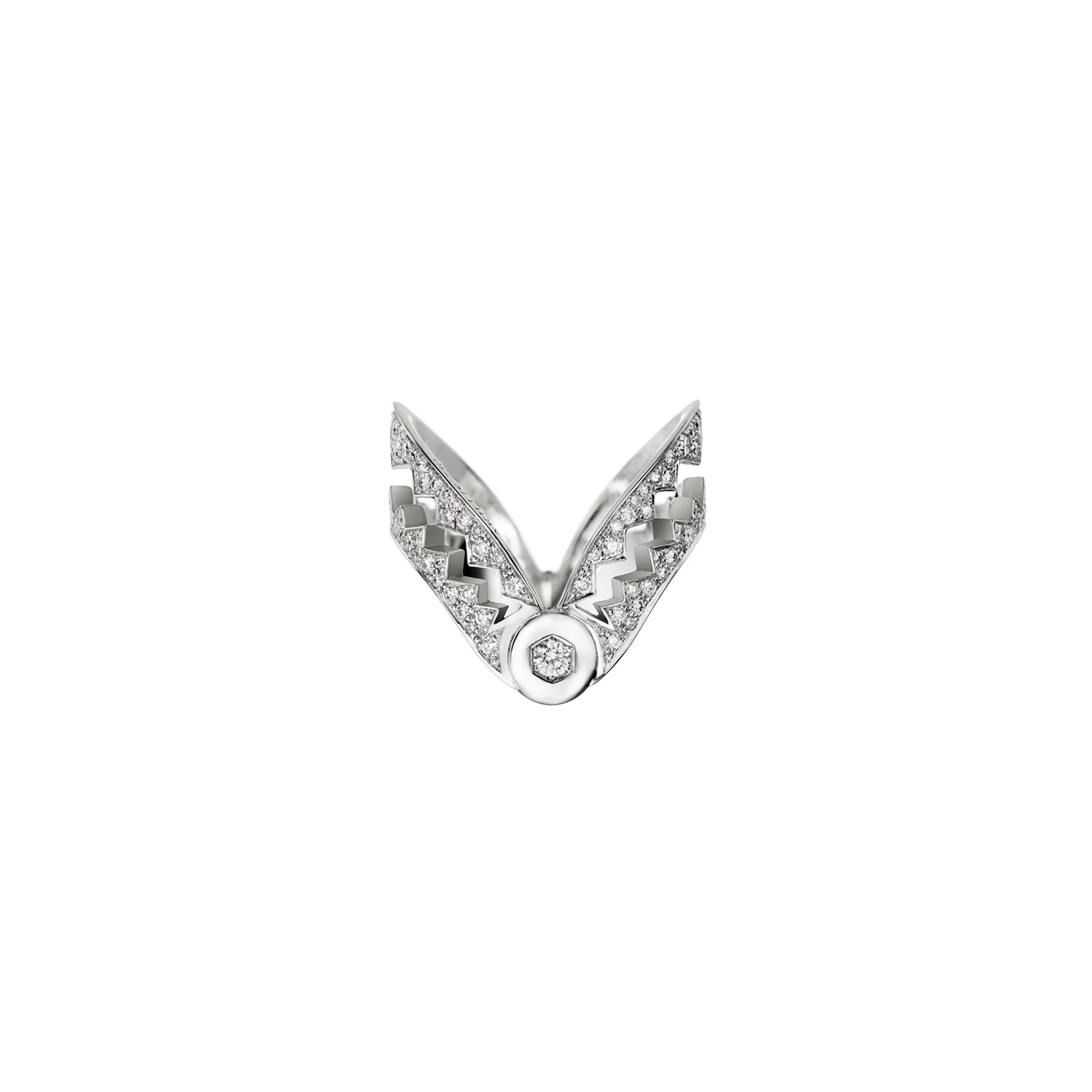 RCA0008_Akillis anello.jpg