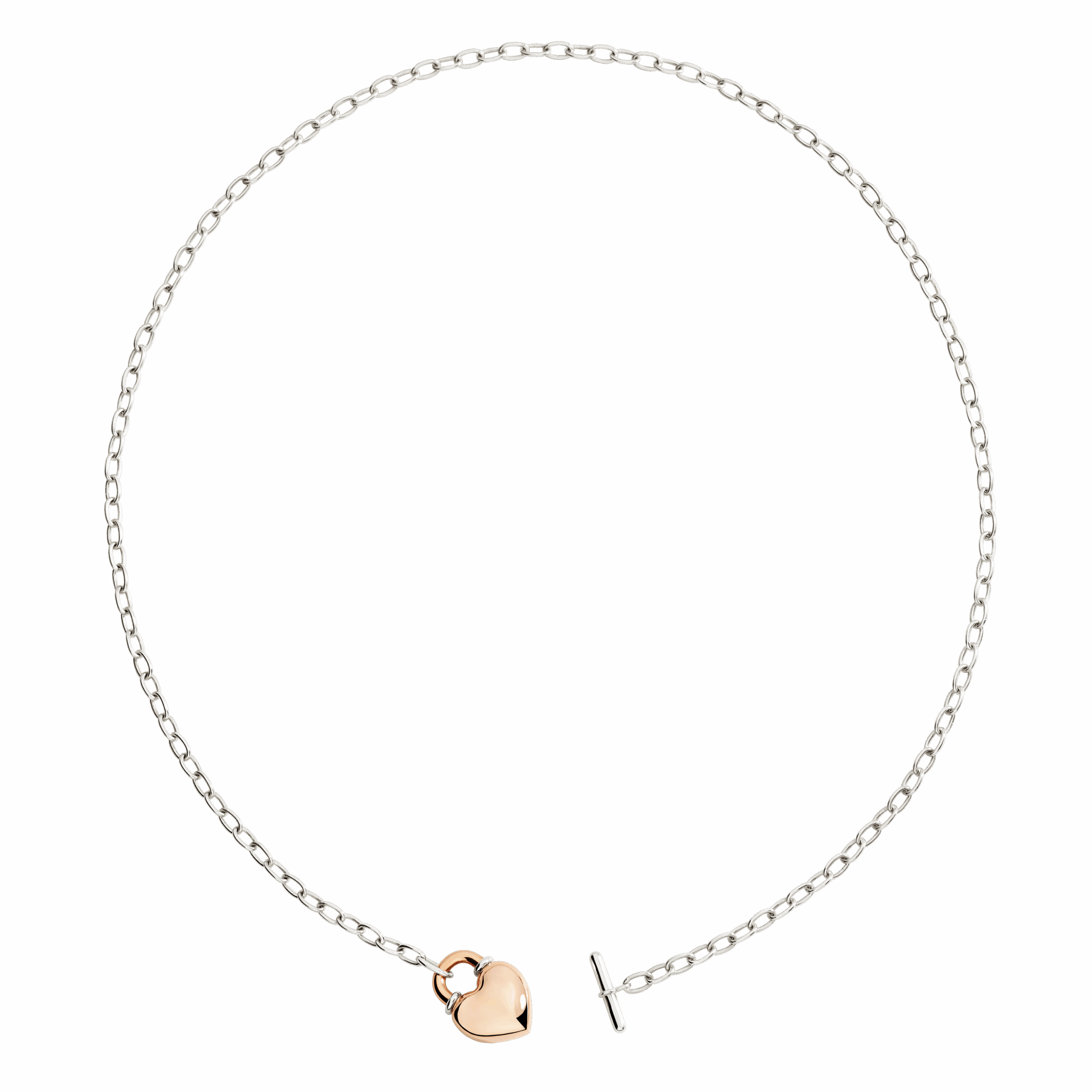 DCC5001_HEART_0009A_010.png