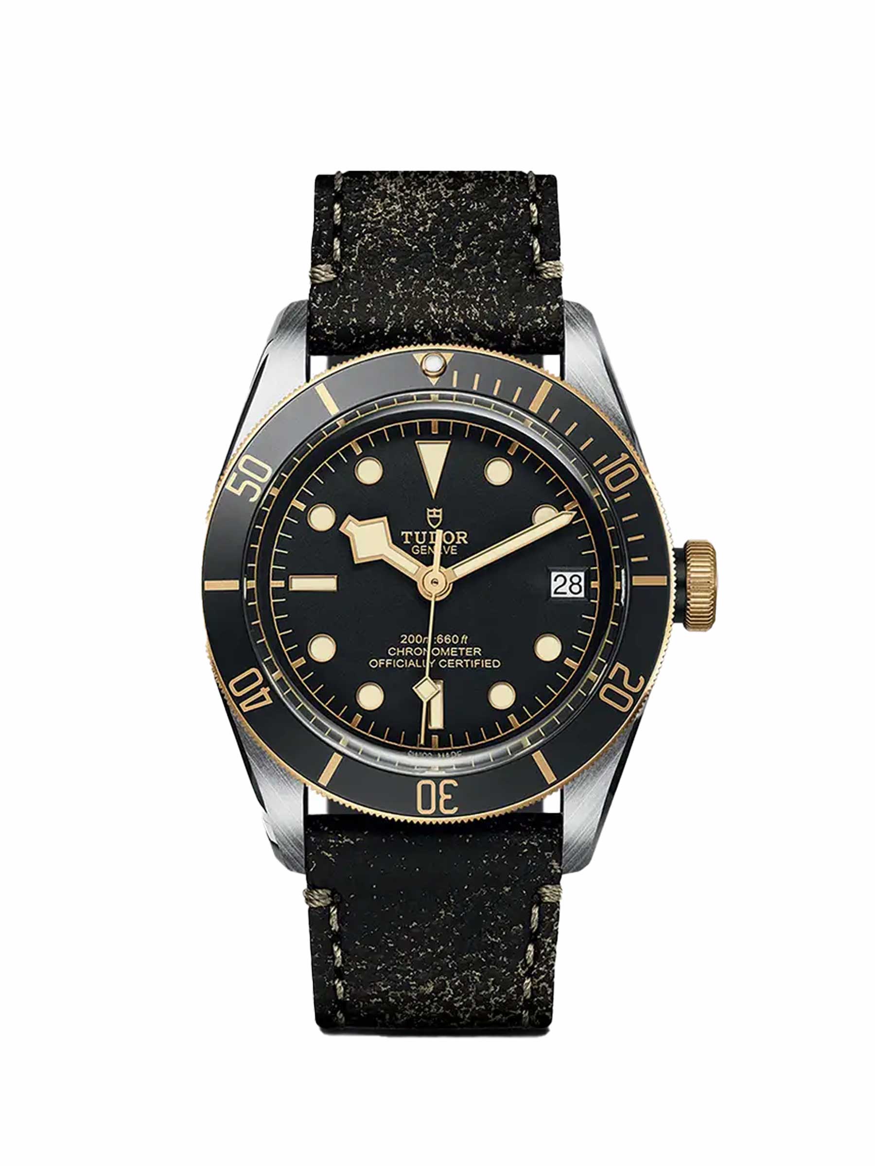 TUDOR-Black-Bay-S&G-M79733N-0007.jpg